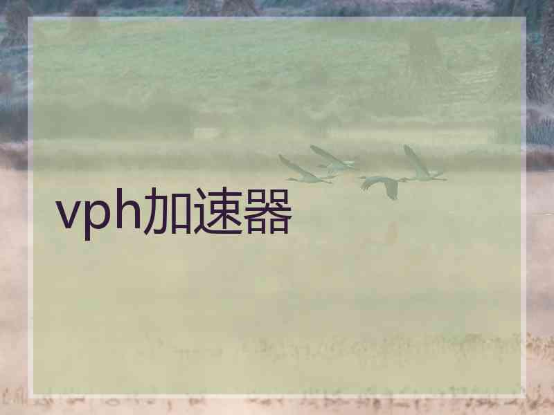 vph加速器