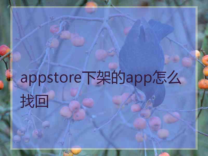 appstore下架的app怎么找回