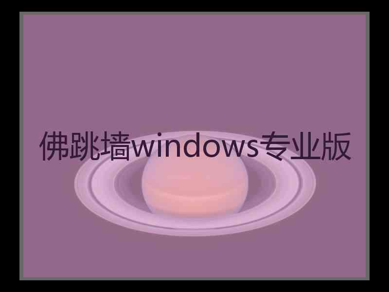 佛跳墙windows专业版