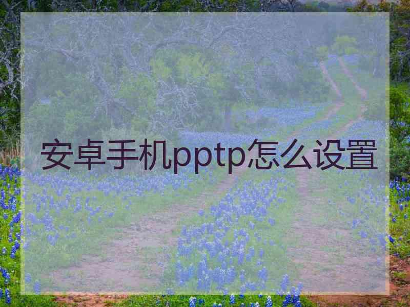 安卓手机pptp怎么设置