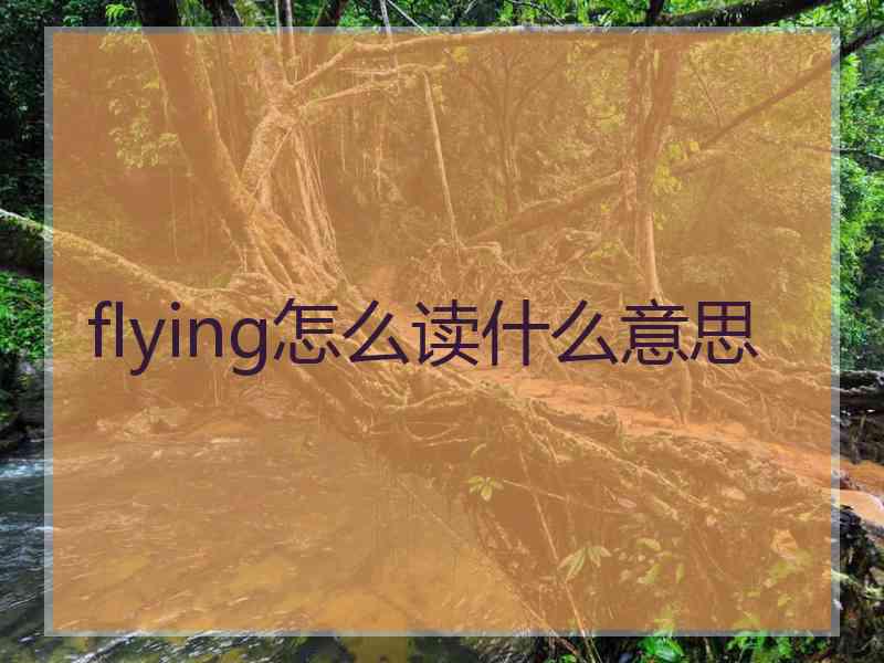 flying怎么读什么意思