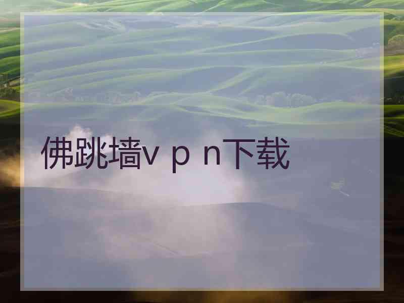 佛跳墙v p n下载