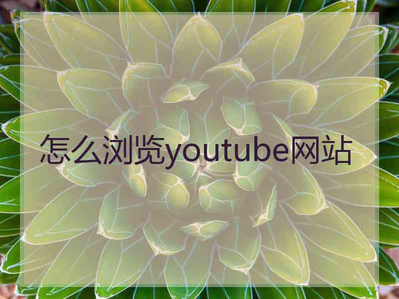 怎么浏览youtube网站