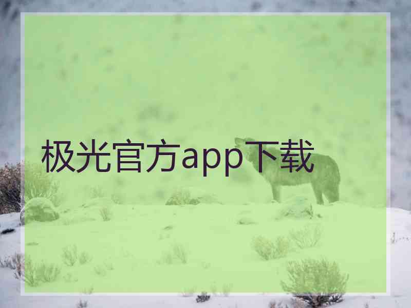 极光官方app下载