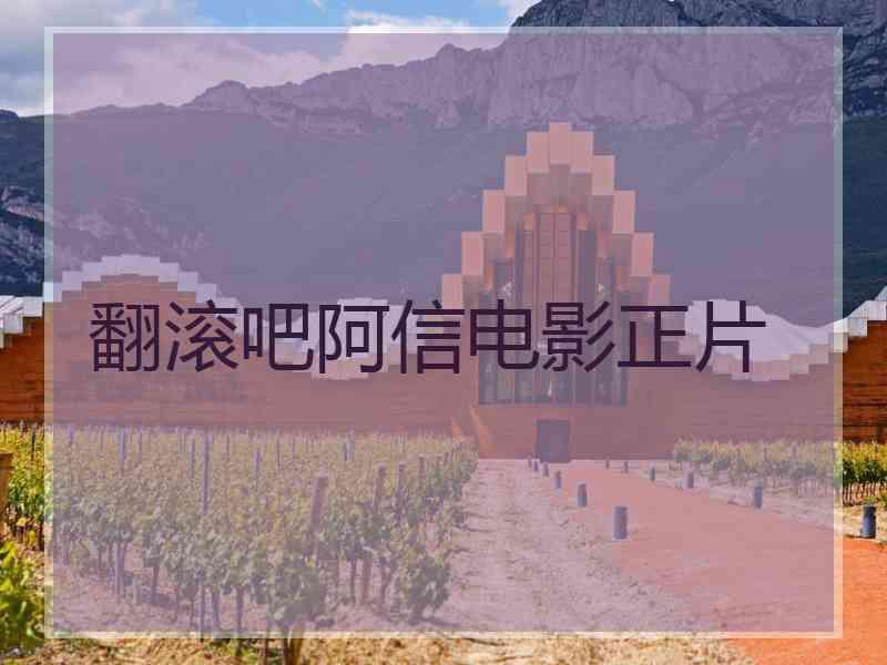 翻滚吧阿信电影正片