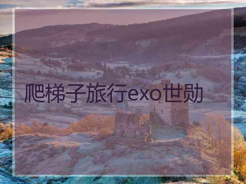 爬梯子旅行exo世勋