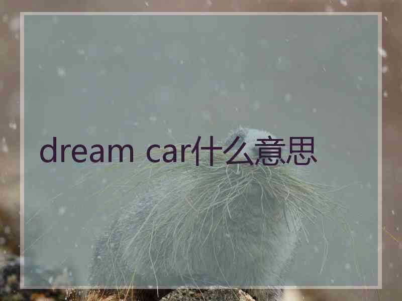 dream car什么意思