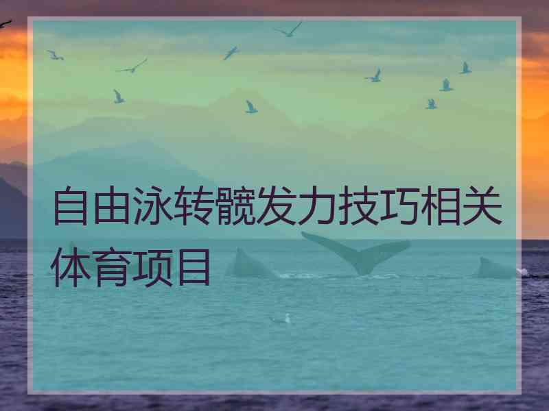 自由泳转髋发力技巧相关体育项目