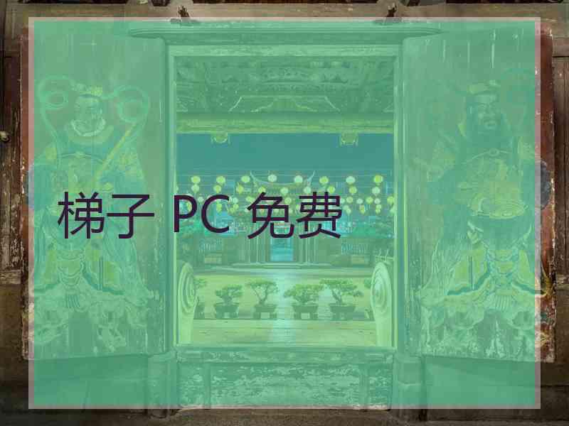 梯子 PC 免费