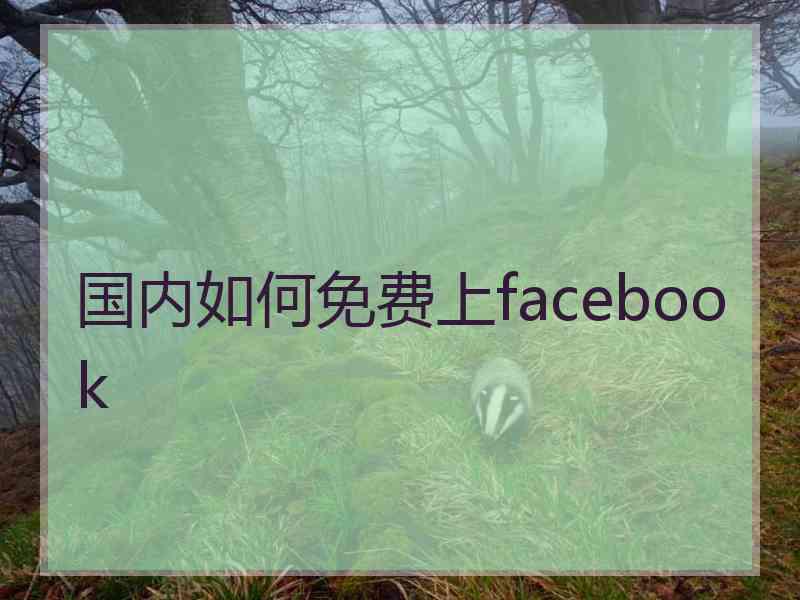 国内如何免费上facebook