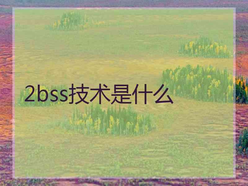 2bss技术是什么