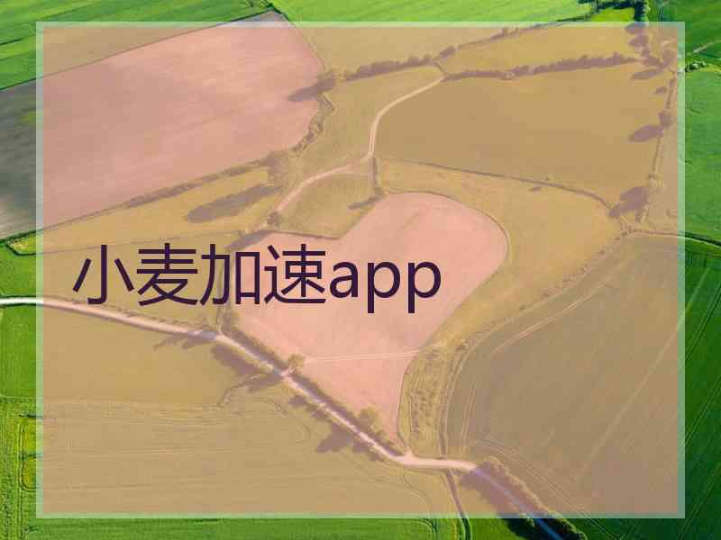 小麦加速app