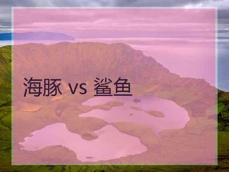 海豚 vs 鲨鱼