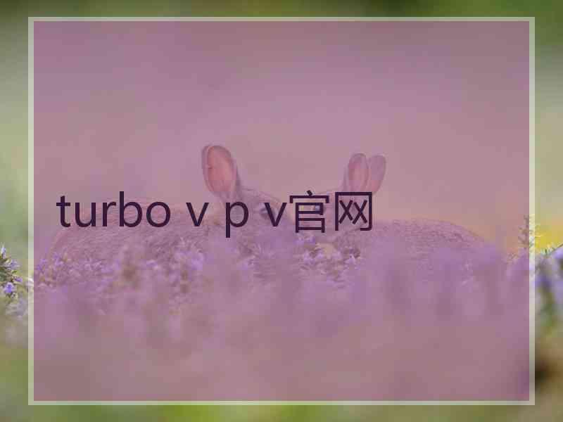 turbo v p v官网