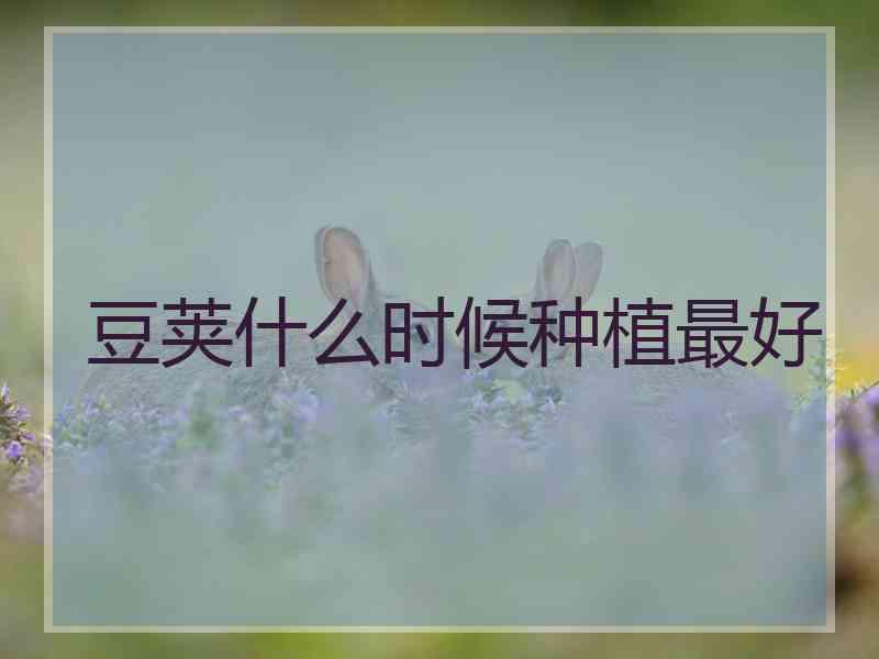 豆荚什么时候种植最好