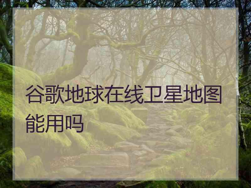 谷歌地球在线卫星地图能用吗