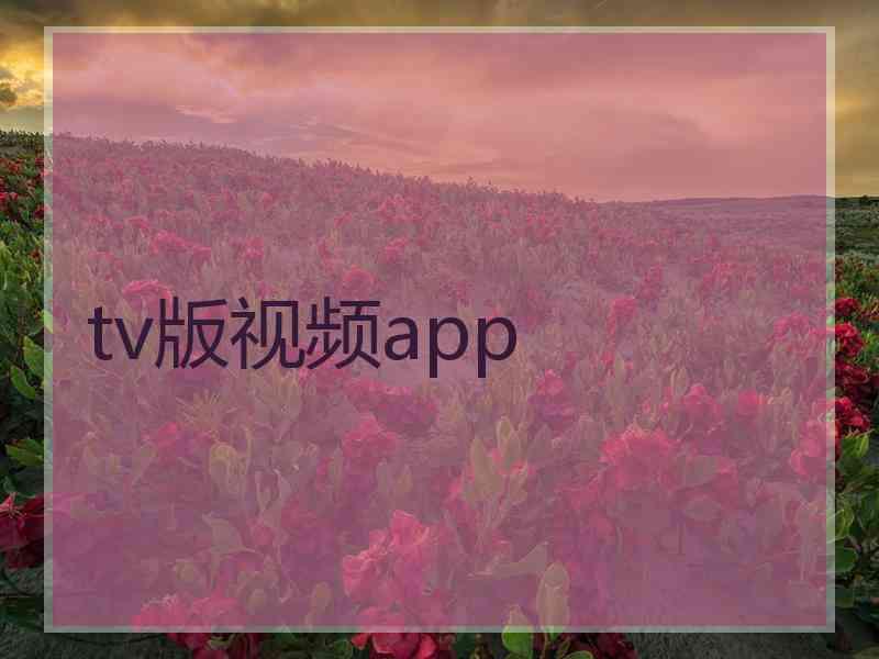 tv版视频app