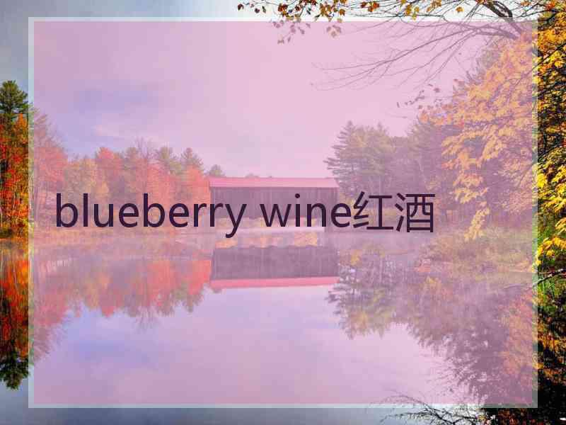 blueberry wine红酒