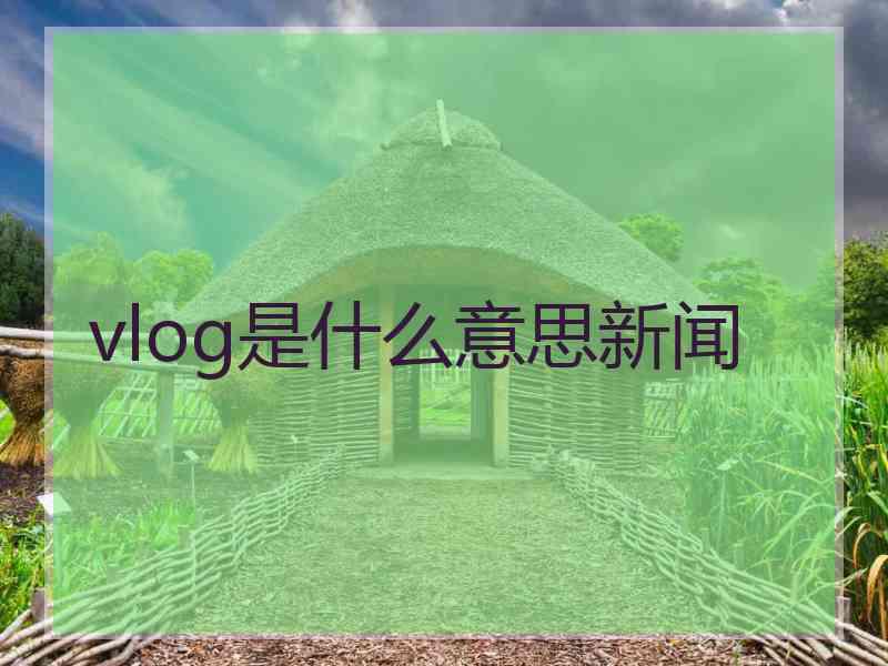 vlog是什么意思新闻