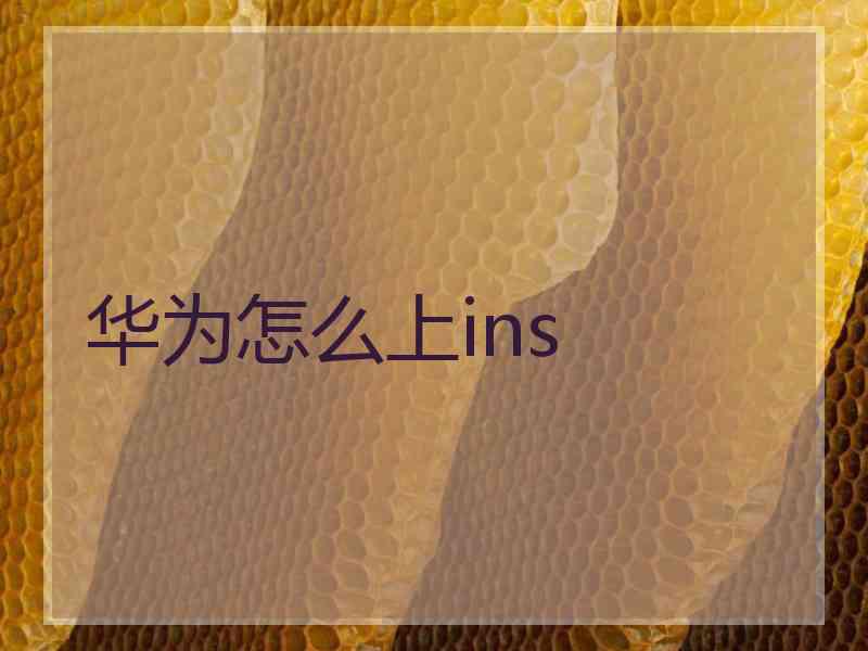 华为怎么上ins