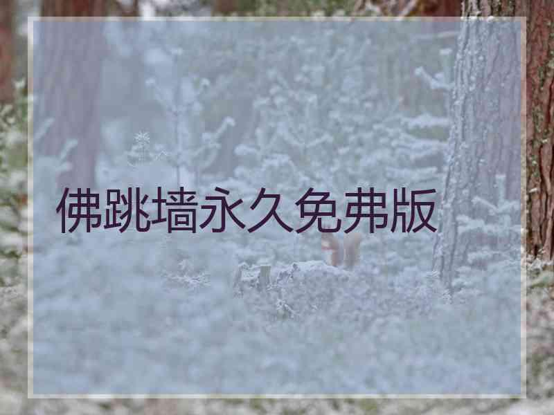 佛跳墙永久免弗版