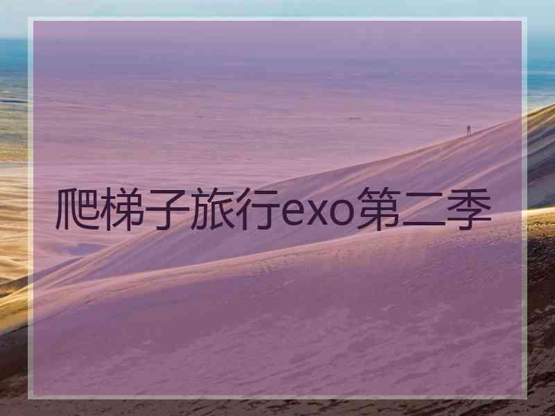 爬梯子旅行exo第二季