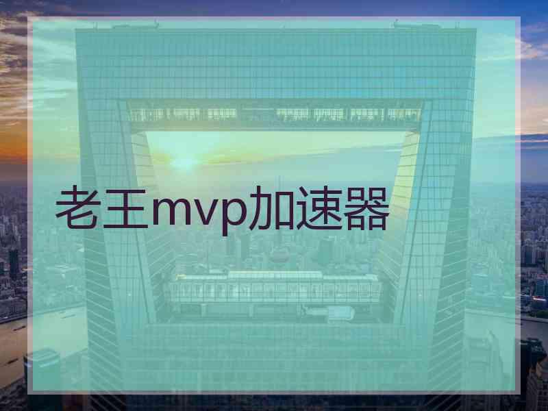 老王mvp加速器