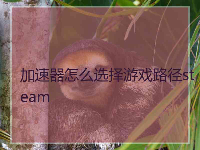 加速器怎么选择游戏路径steam