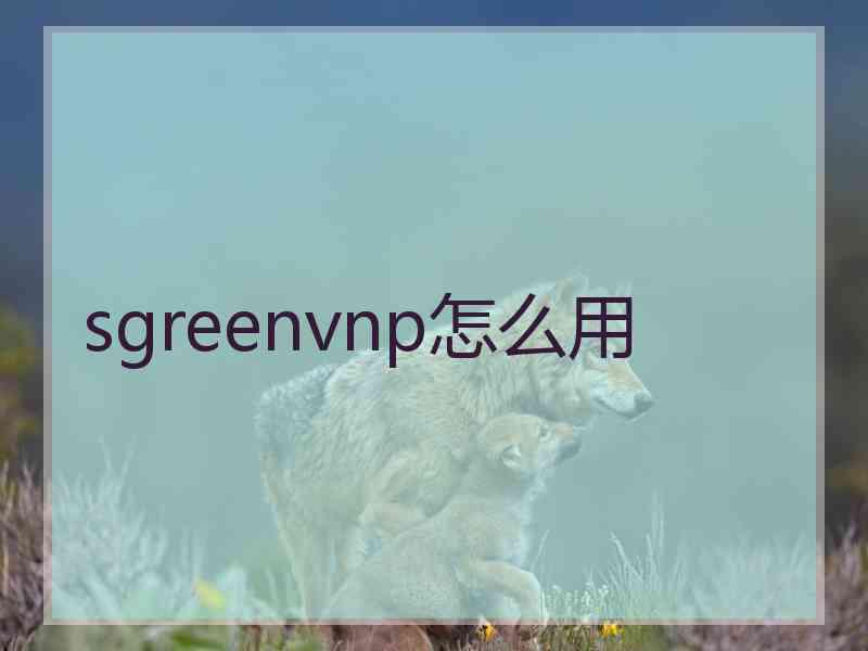 sgreenvnp怎么用