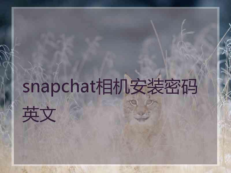 snapchat相机安装密码英文