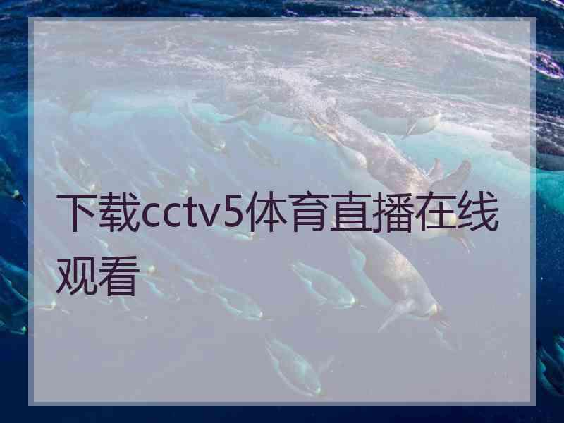 下载cctv5体育直播在线观看