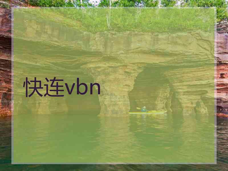 快连vbn