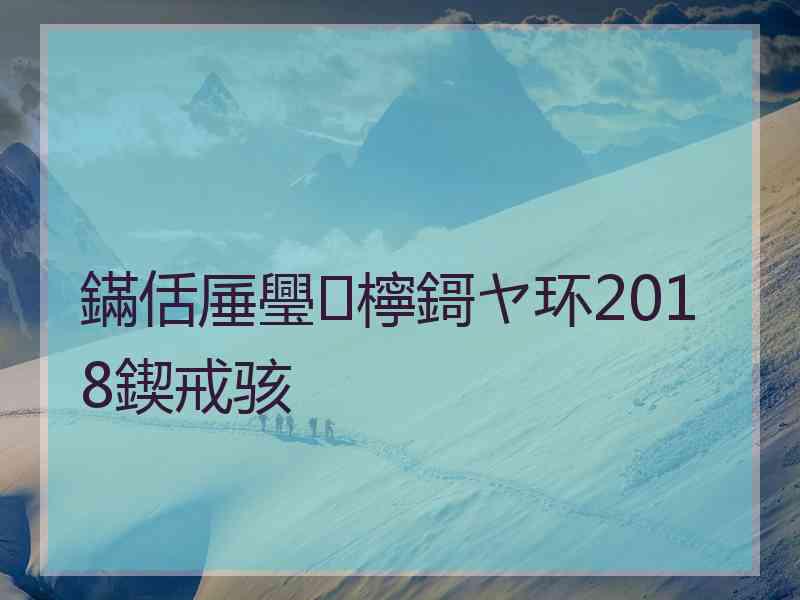 鏋佸厜璺檸鎶ヤ环2018鍥戒骇