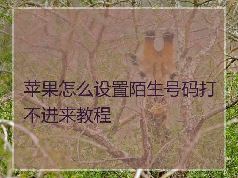 苹果怎么设置陌生号码打不进来教程