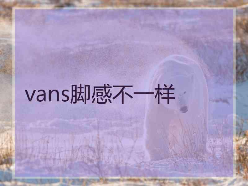 vans脚感不一样