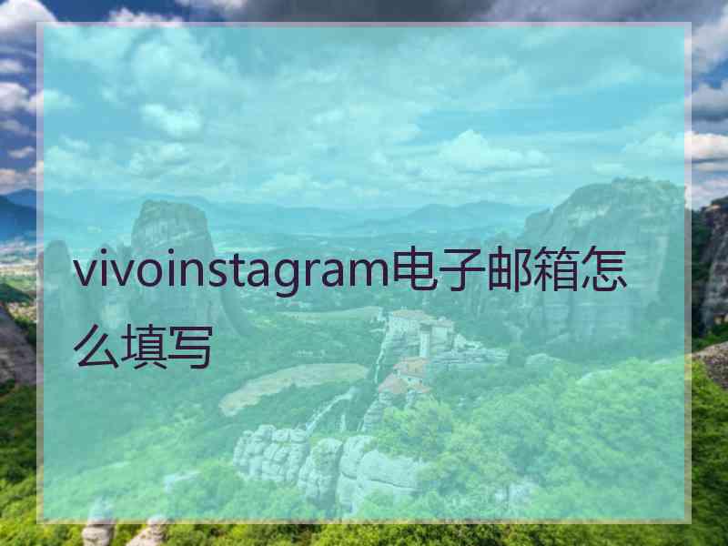 vivoinstagram电子邮箱怎么填写