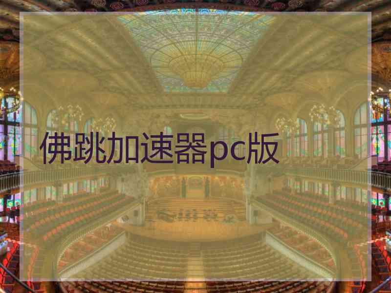 佛跳加速器pc版