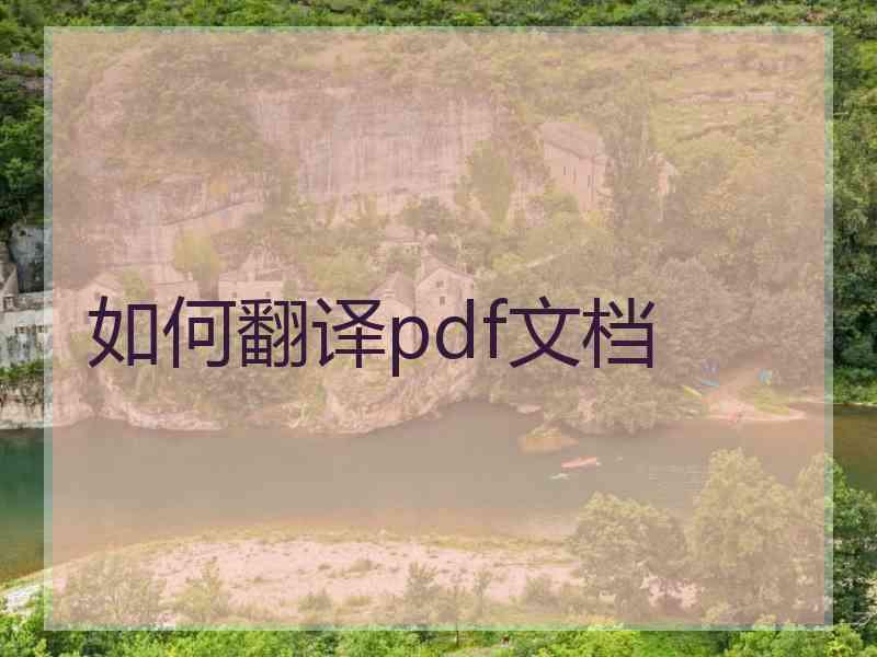 如何翻译pdf文档