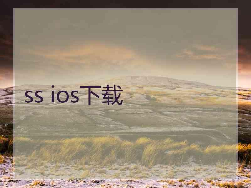 ss ios下载