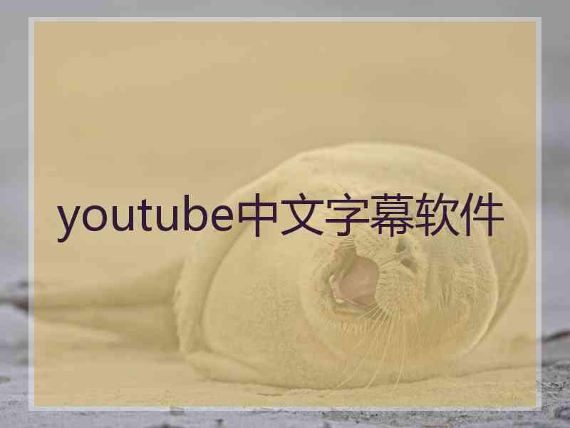 youtube中文字幕软件