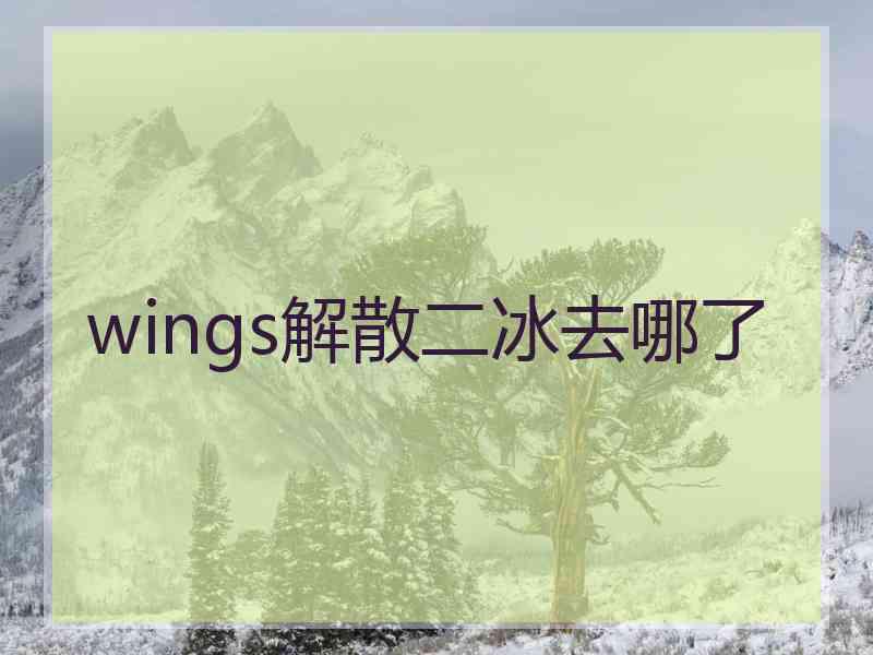 wings解散二冰去哪了