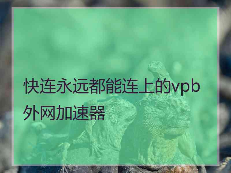 快连永远都能连上的vpb外网加速器