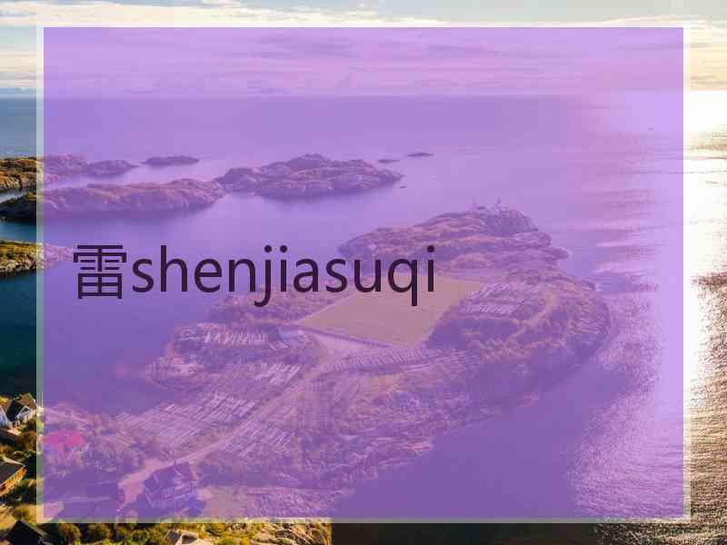 雷shenjiasuqi