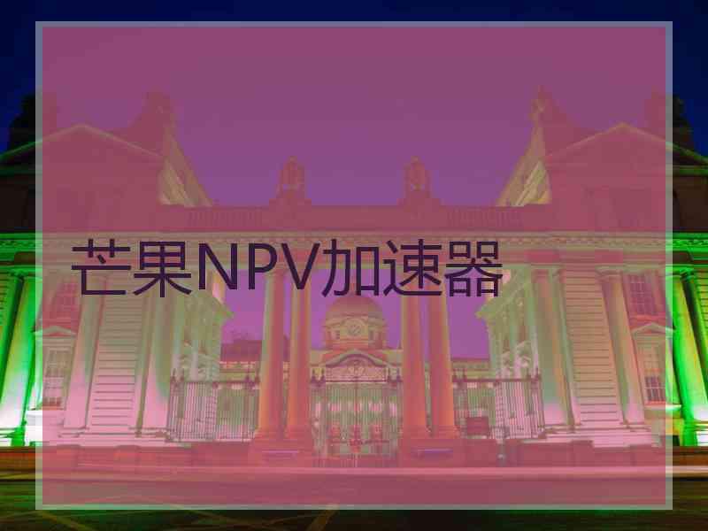 芒果NPV加速器