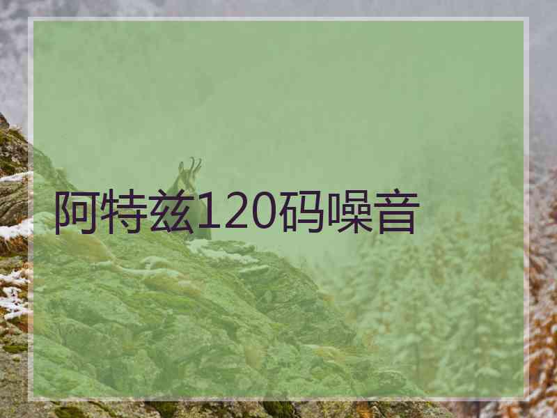 阿特兹120码噪音