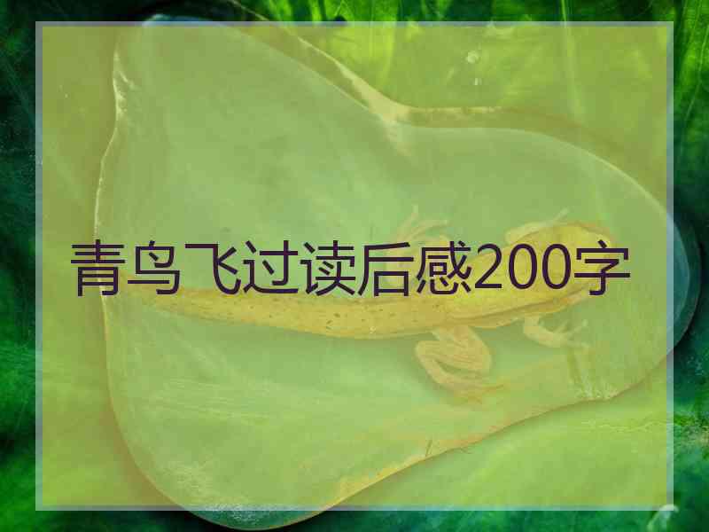 青鸟飞过读后感200字