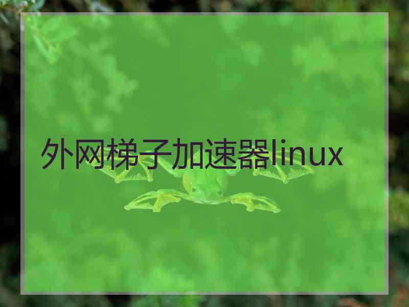 外网梯子加速器linux