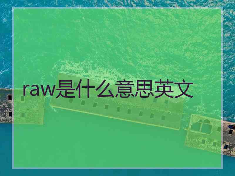 raw是什么意思英文