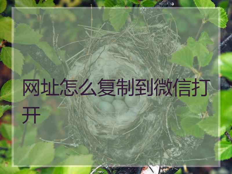 网址怎么复制到微信打开