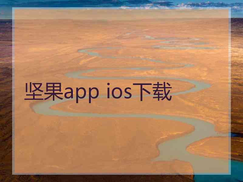 坚果app ios下载